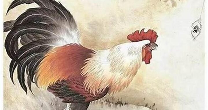 属鸡的最配属什么的：详细解析与配对指南