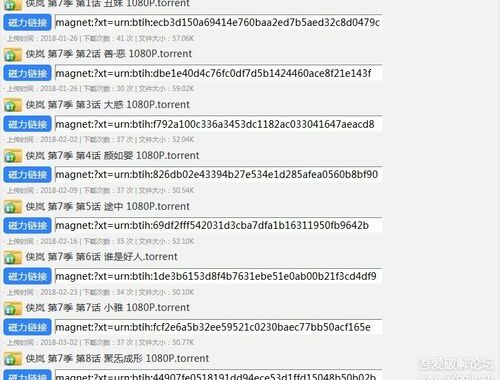 磁力链接解析是什么？如何高效解析磁力链接并下载资源？