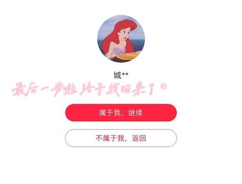 小红书专业版登录：详细步骤与功能介绍