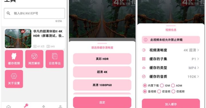 bili视频解析：深度解析与实用步骤指南