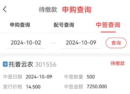 新股申购和中签查询：全面指南与步骤详解