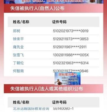 被执行人信息公开网：全面解析与查询指南