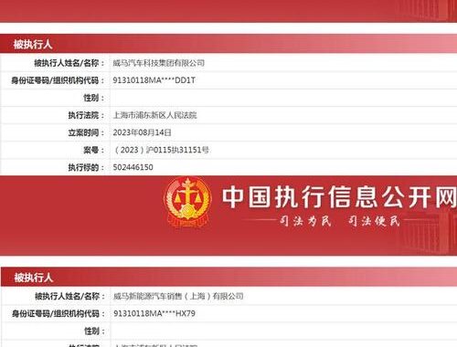 执行信息公开网查询：全面指南与详细步骤