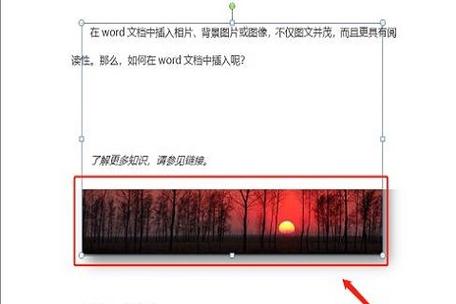 word中图片嵌入式显示不全：全面解决方案
