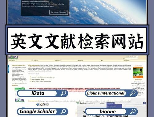 查阅文献的网站有哪些？如何高效利用这些资源？