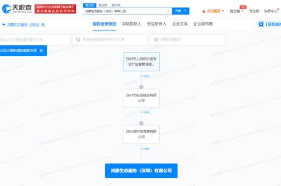 公司可以设立子公司，子公司不具有法人资格？为什么及如何影响企业运营？