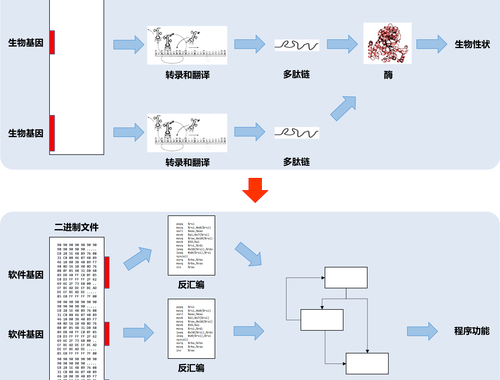 geneid查询：深入理解基因识别与数据库检索