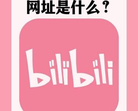 Billbili入口：全面解析与高效访问指南