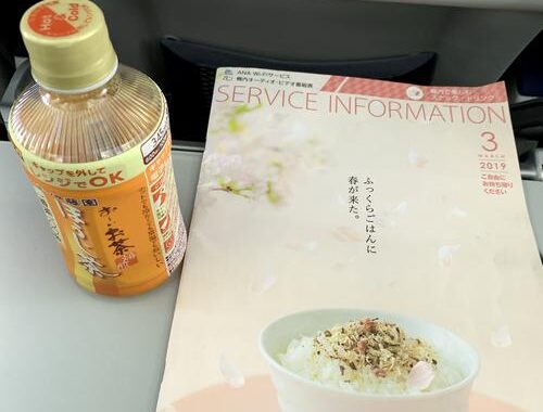 ana国内线领収书発行：流程、要点及注意事项详解