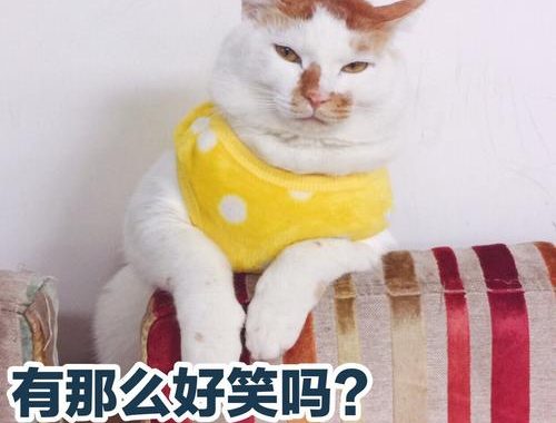 哈哈哈哈哈哈哈哈哈哈哈哈哈哈哈哈哈哈：探索笑声的魔力与益处